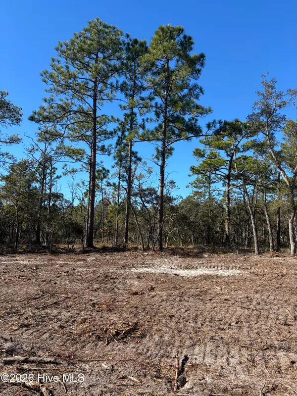 Lot 127 Coral Gull Street, Southport, NC 28461