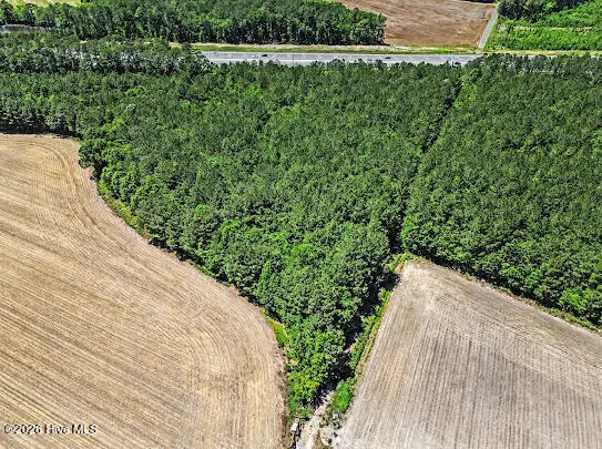 4.47 Ac Purdie Matthews Road, Wade, NC 28395 - #2