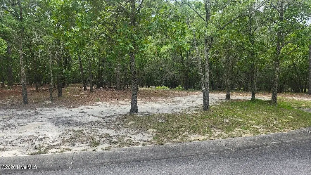 2941 Serrano Trail Se, Bolivia, NC 28422 - #1
