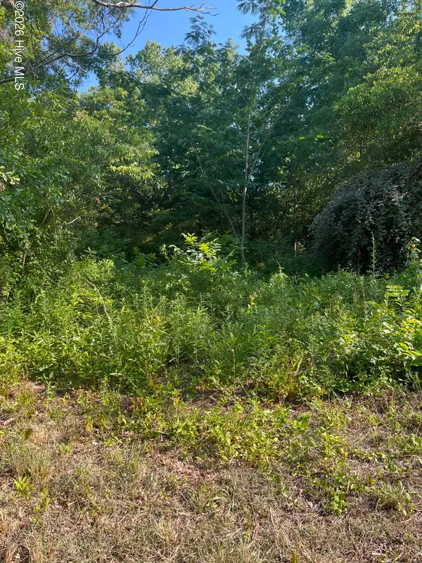 166 Douglas Street, Laurinburg, NC 28352