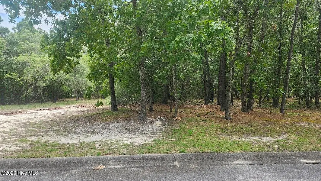 537 Estevao Lane Se, Bolivia, NC 28422 - #1