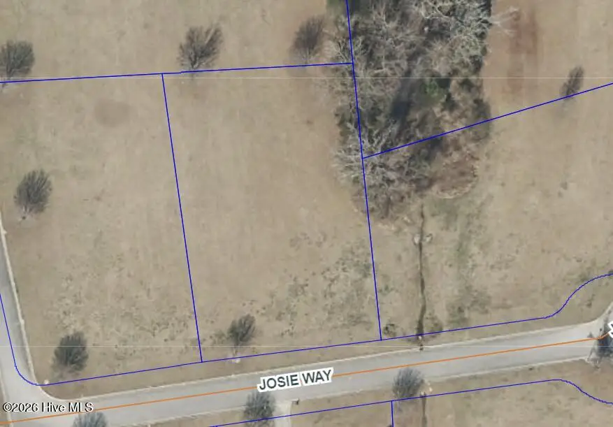 48 Josie Way, Arapahoe, NC 28510 - #1