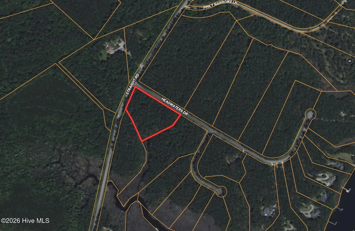 117 Headwaters Drive, Oriental, NC 28571 - #1