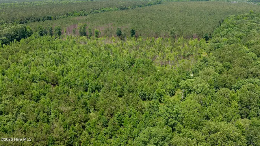 0 Indian Woods Road, Windsor, NC 27983 - #2