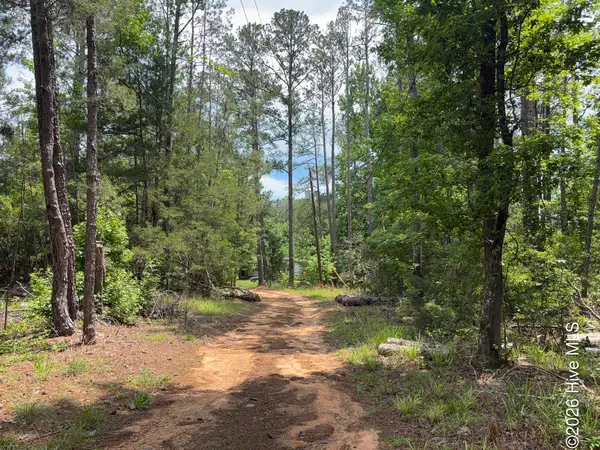 3763 Adelia Drive, Appling, GA 30802