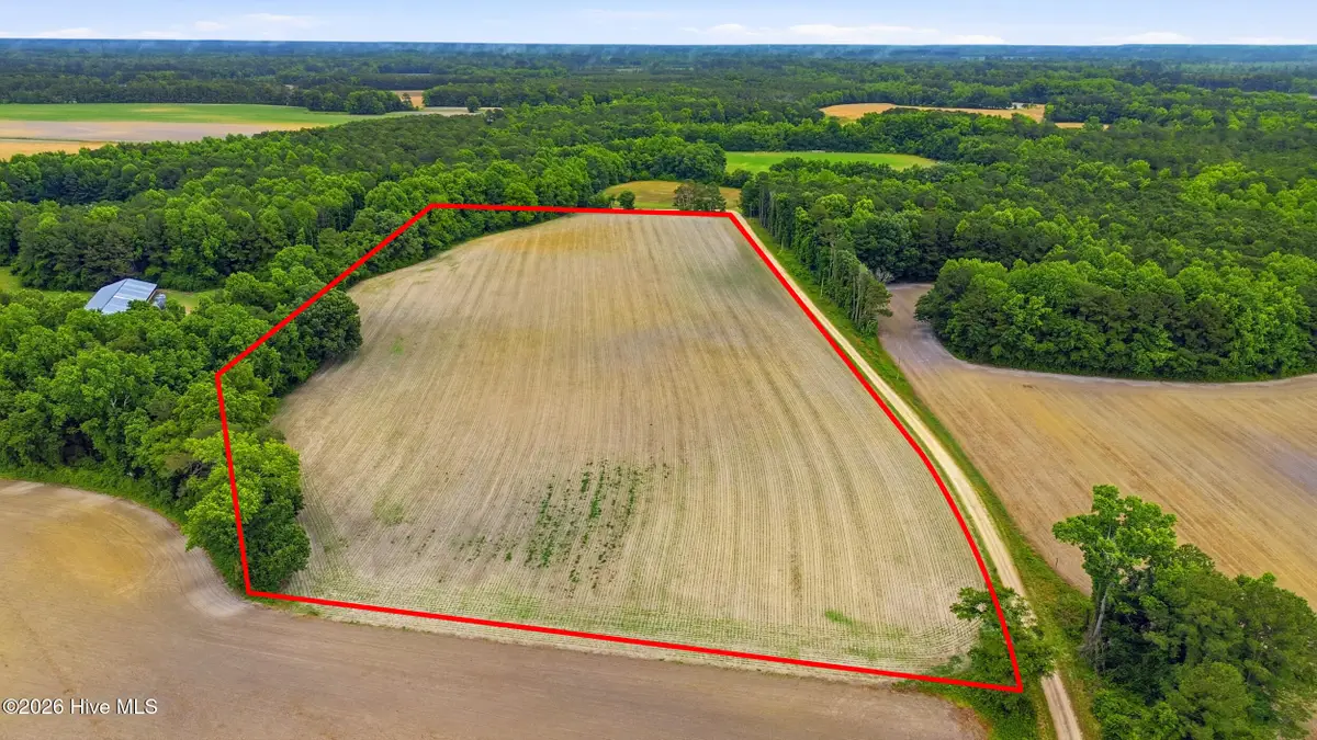 Tbd Pig Palace Lane, Council, NC 28434 - #1