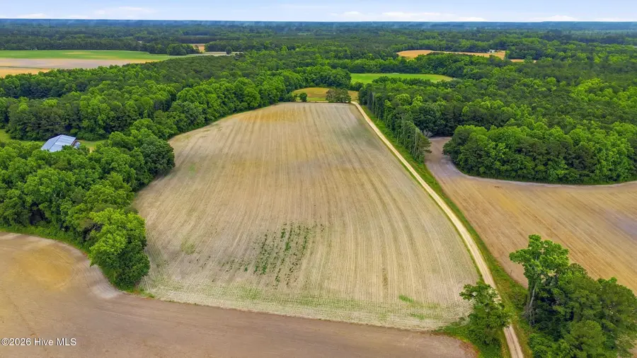 Tbd Pig Palace Lane, Council, NC 28434 - #2