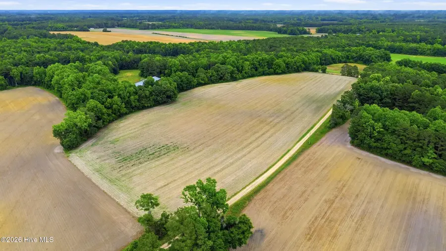 Tbd Pig Palace Lane, Council, NC 28434 - #3