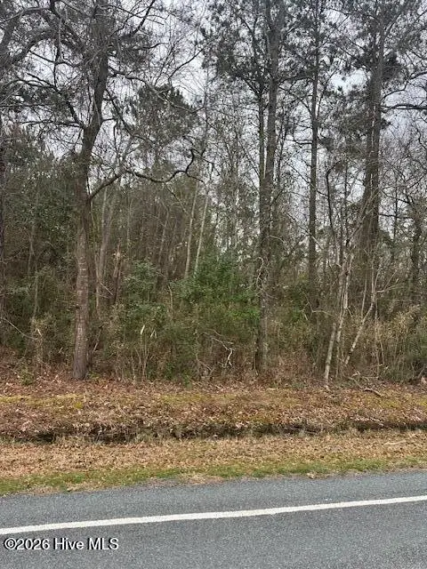 7557 Princess Ann Road, Evergreen, NC 28438 - #1