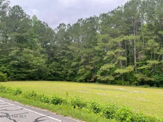 Tbd Point Caswell Road, Watha, NC 28478 - #2