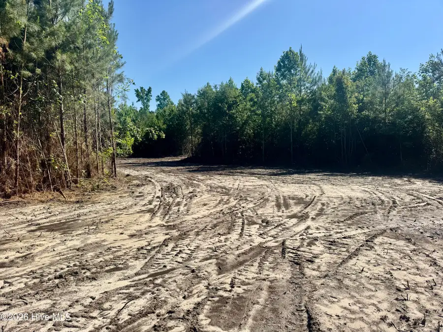 Near 4635 Hallsboro Road N, Clarkton, NC 28433 - #3