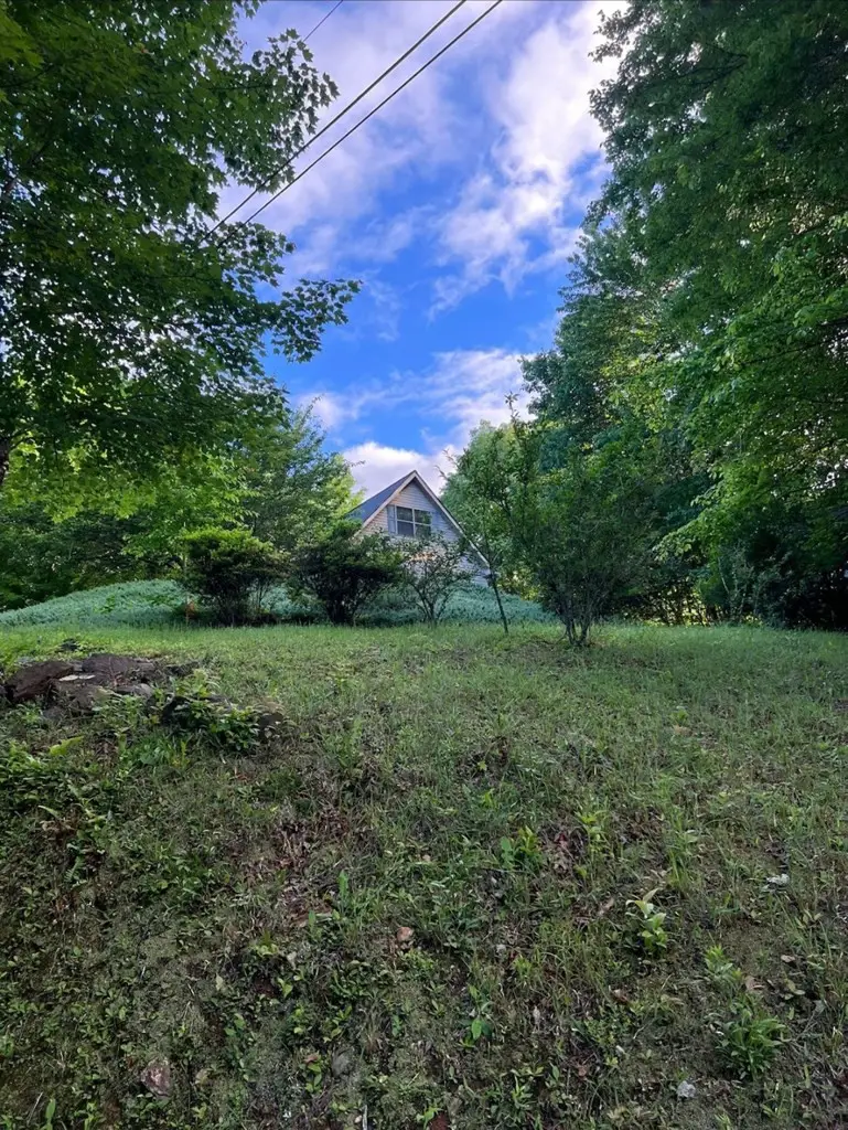 256 High Top Lane, Andrews, NC 28901 - #3