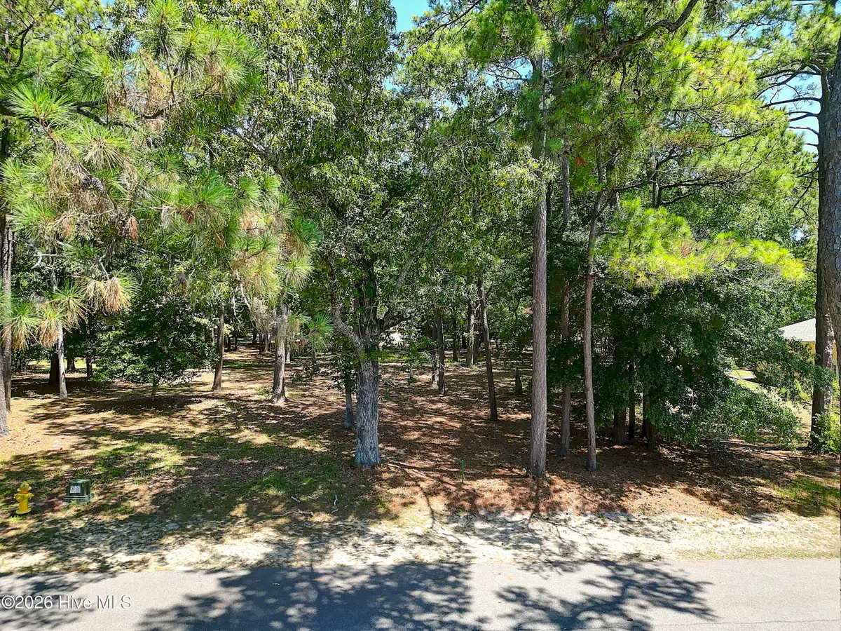 3252 Marsh View Drive Sw, Supply, NC 28462 - #1