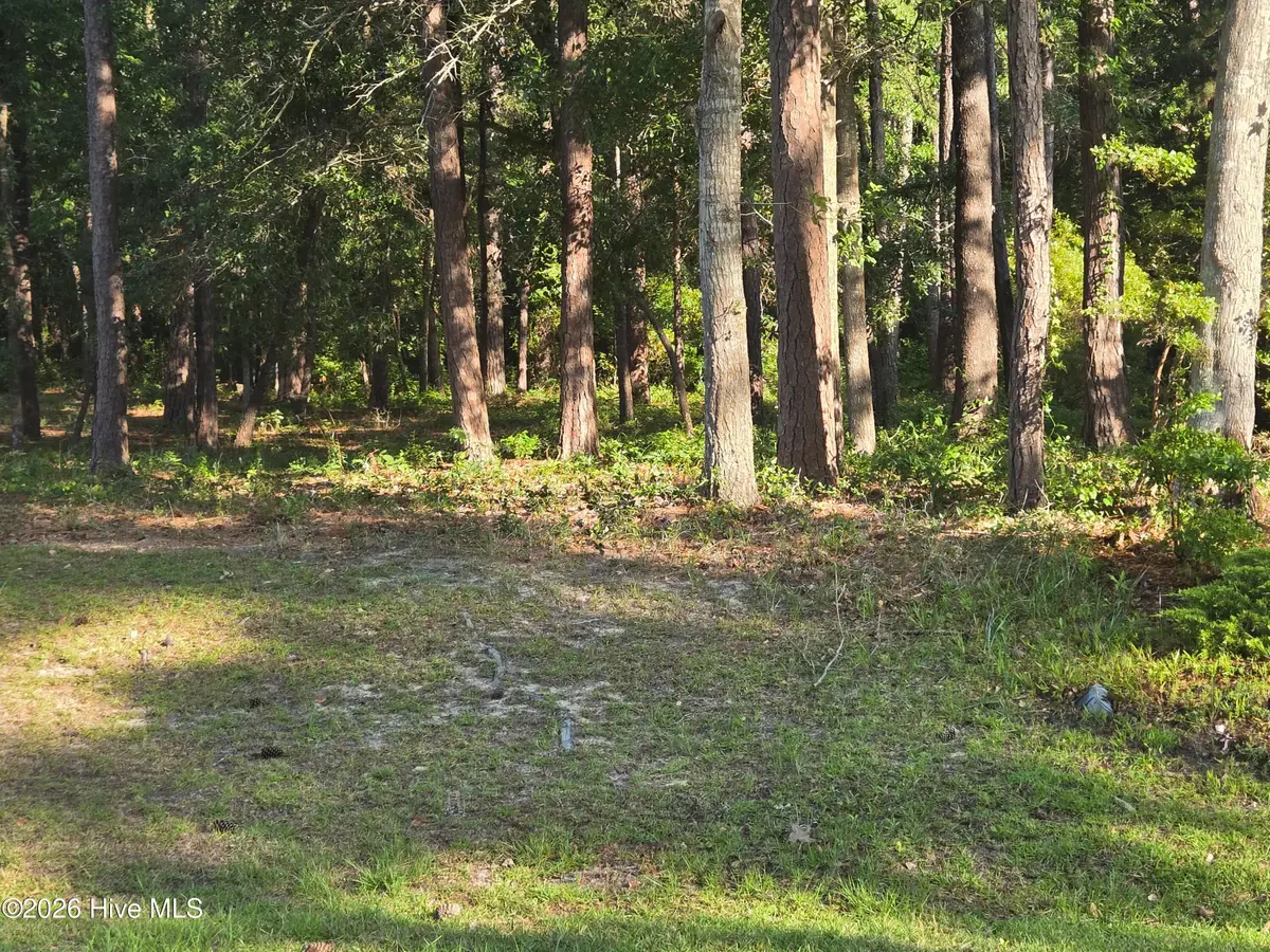 3840 Timber Stream Drive, Southport, NC 28461 - #1