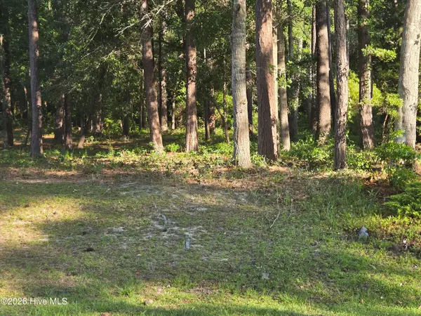 3840 Timber Stream Drive, Southport, NC 28461