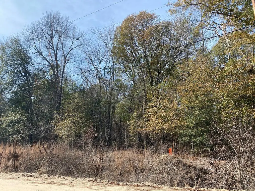Lot 14 Robin Boulevard, Swainsboro, GA 30401 - #1