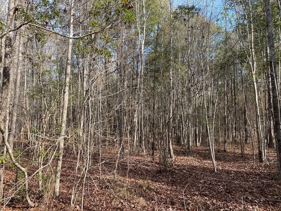Lot 14 Robin Boulevard, Swainsboro, GA 30401 - #2