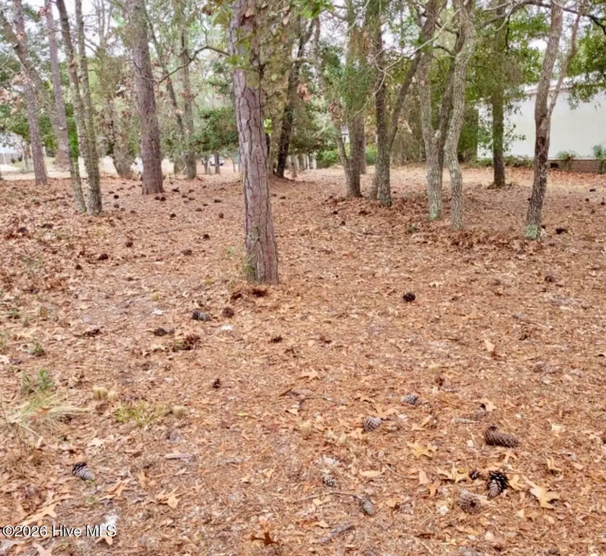 3317 Marlin Drive Se, Bolivia, NC 28422 - #1