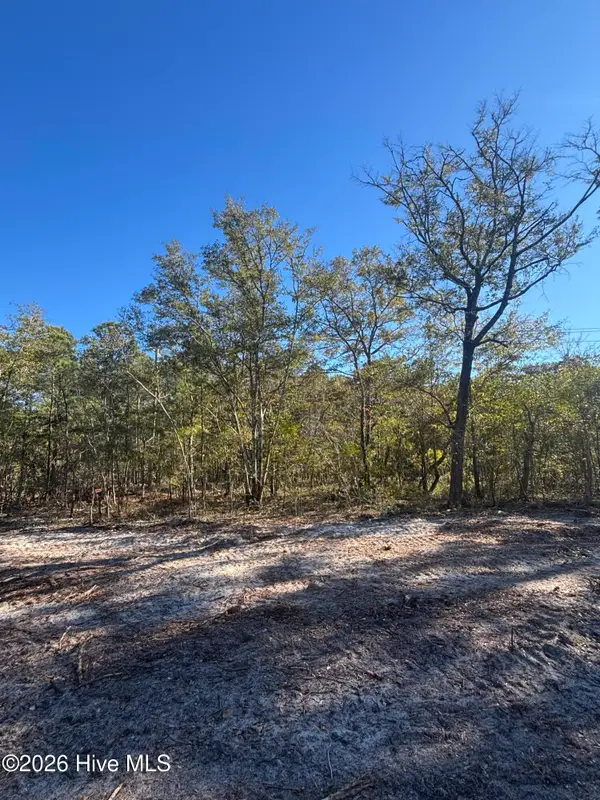 Lot 166 Coral Gull Street, Southport, NC 28461