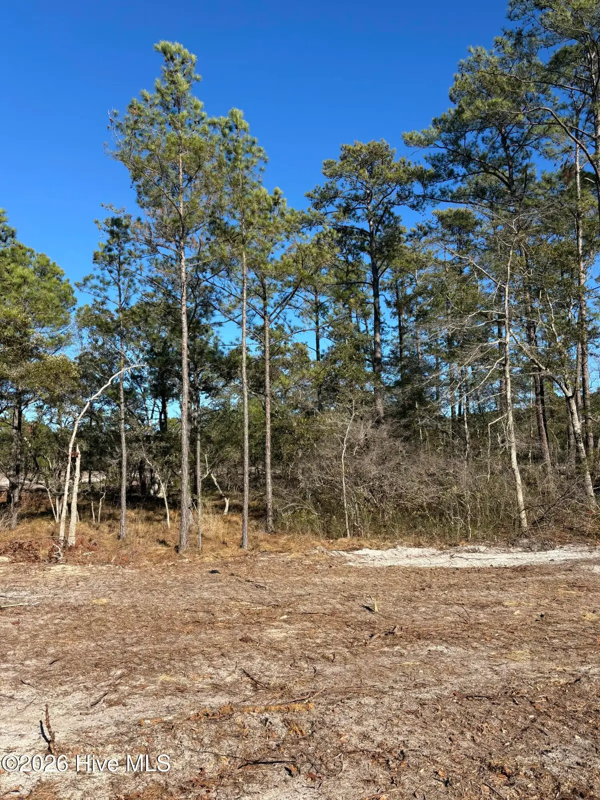 Lot 138 Coral Gull Street, Southport, NC 28461 - #1