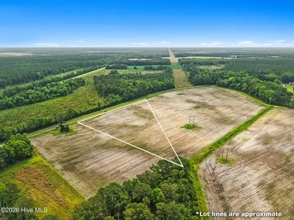 0 Boggy Branch Road, Council, NC 28434