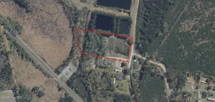 0 Near 205 Graham Street, Fair Bluff, NC 28439 - #3