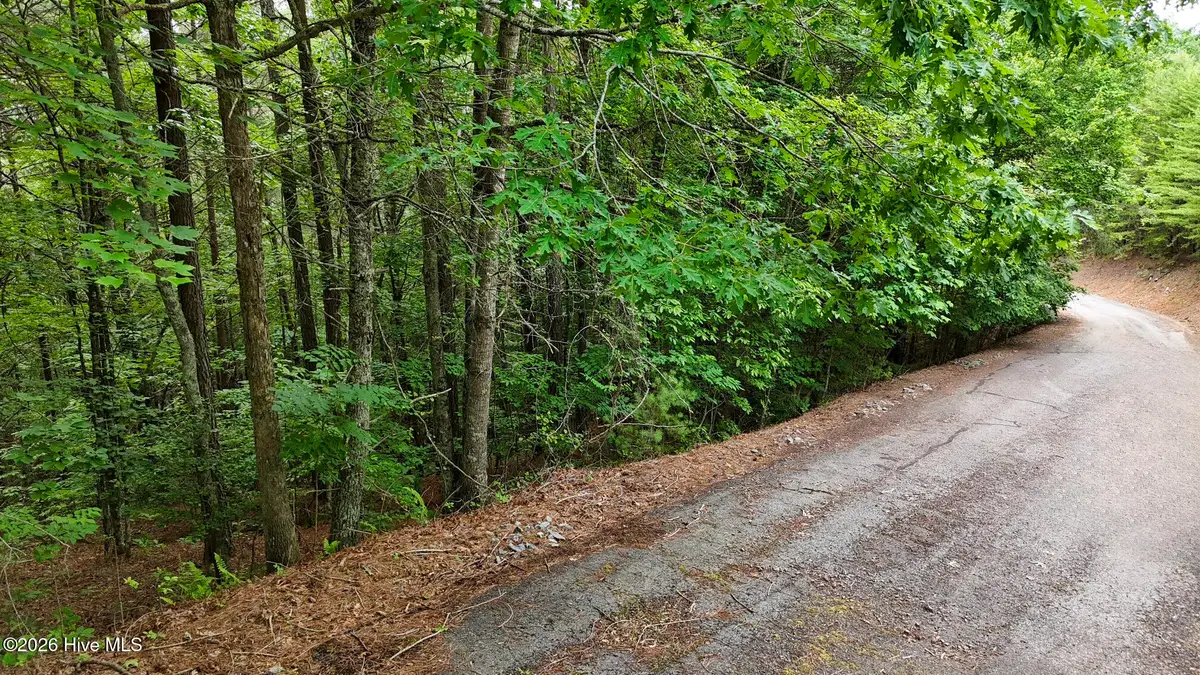 98-103 Choctaw Ridge Trail, Murphy, NC 28906 - #1