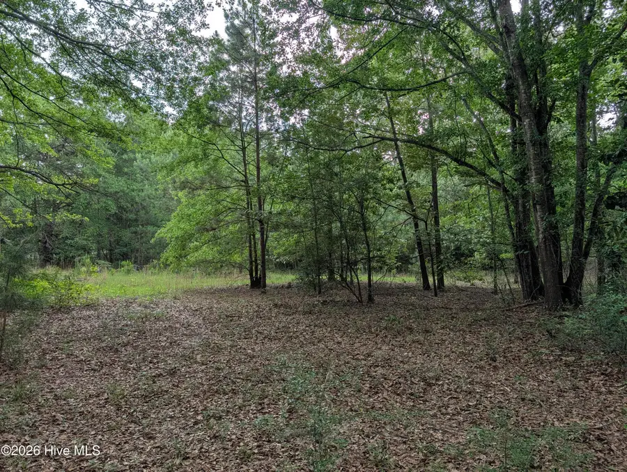 285 Garvin Drive, Wagener, SC 29164 - #3