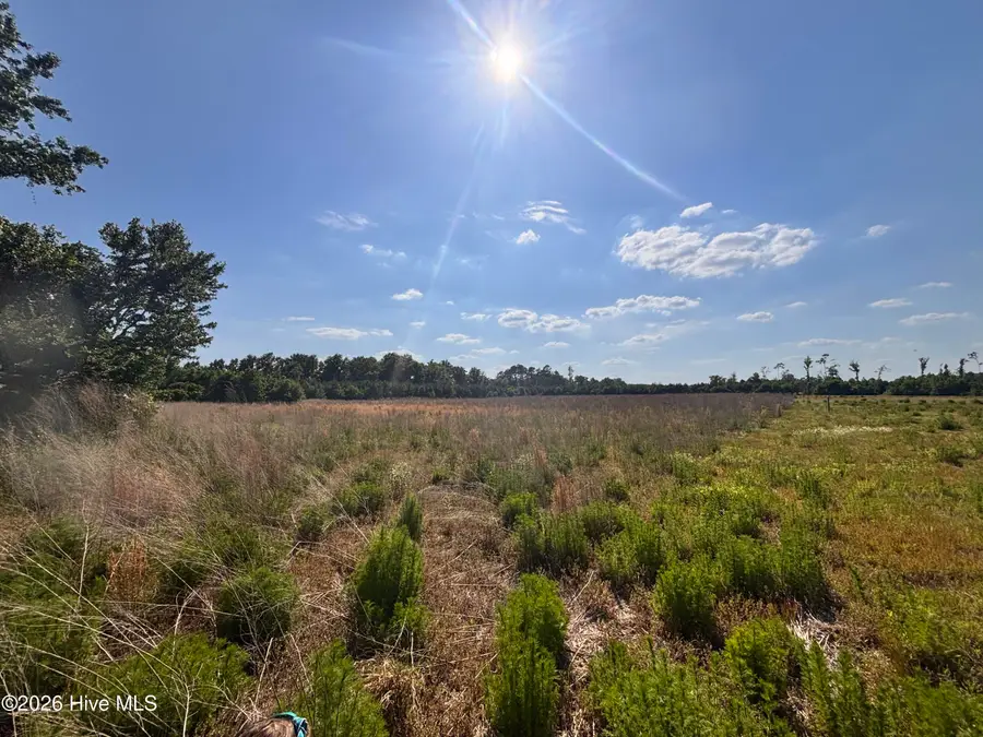 Lot 2 Bass Lake Road, Clinton, NC 28328 - #2