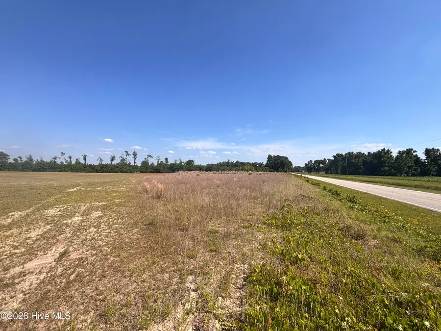 Lot 2 Bass Lake Road, Clinton, NC 28328 - #3