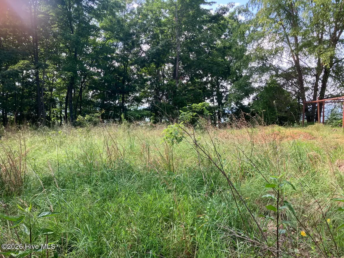 Lot 51 Buck Ridge Drive, Murphy, NC 28906 - #1