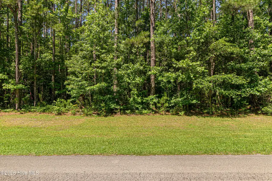 313 Antebellum Drive, Havelock, NC 28532 - #3