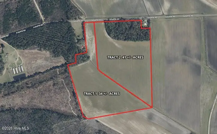 Tbd N Duffie North Road, Red Springs, NC 28377 - #2