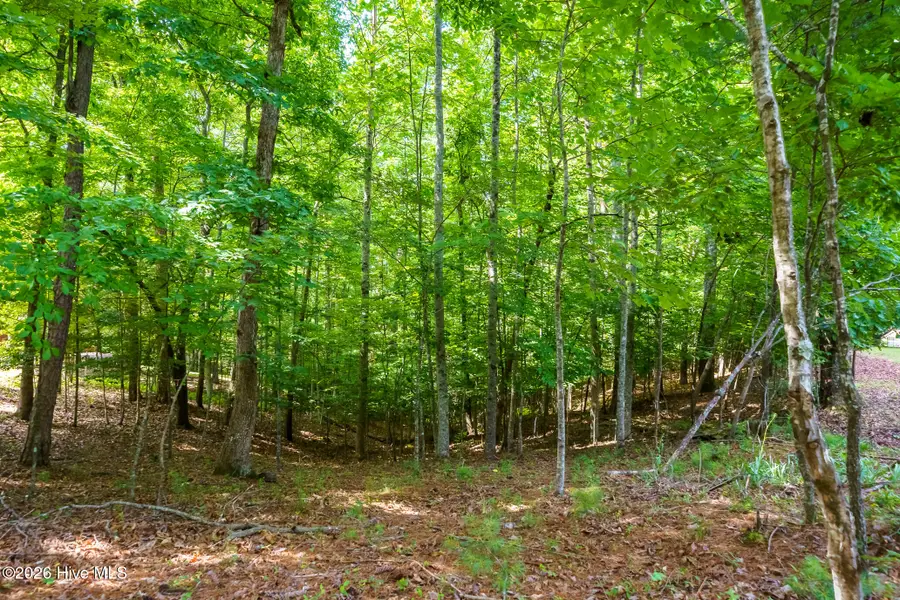 37 Grouse Hollow, Murphy, NC 28906 - #3