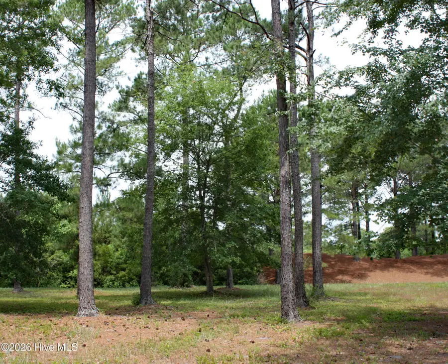761 Highgate Place Sw, Ocean Isle Beach, NC 28469 - #2