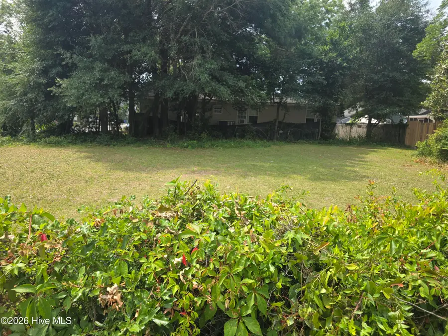 449 Clay Street, Wilmington, NC 28405 - #2
