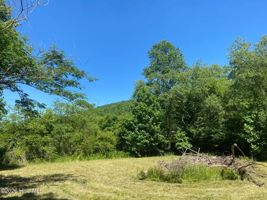 Lot 7 Running Bear Road, Murphy, NC 28906 - #3