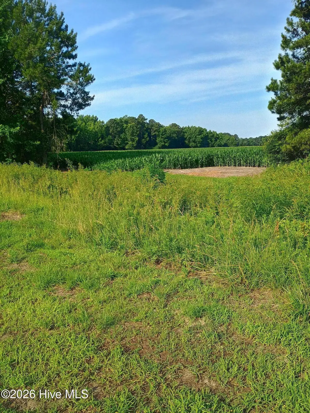 289 Grists Road, Chadbourn, NC 28431 - #1