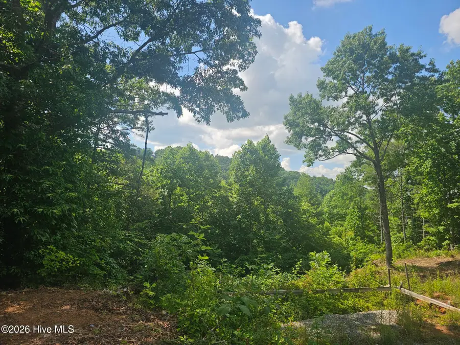 45 Meadowlark Terrace, Murphy, NC 28906 - #3