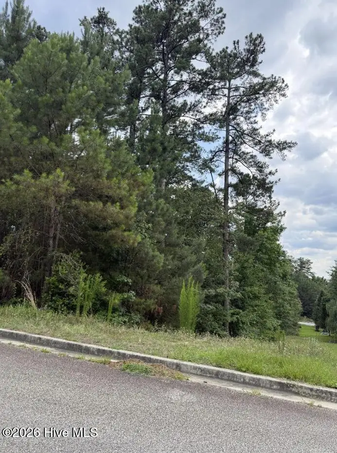 3946 Carolyn Street, Augusta, GA 30909 - #1