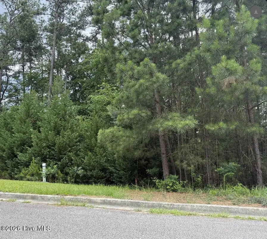 3946 Carolyn Street, Augusta, GA 30909 - #3