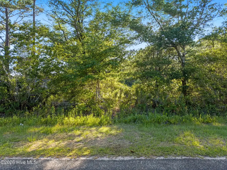 2675 Nags Head Road Sw, Supply, NC 28462 - #2