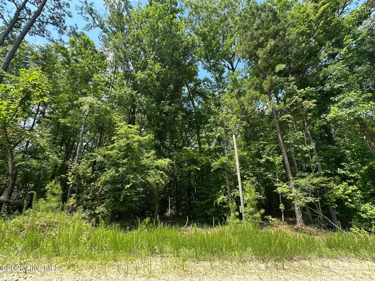 Lot 17 Lakeshore Estates Drive, Lincolnton, GA 30817 - #1