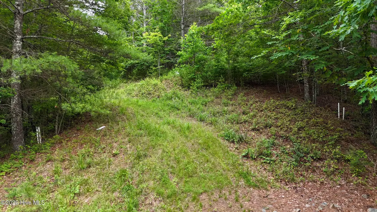 00 Choctaw Ridge Trail, Murphy, NC 28906 - #1