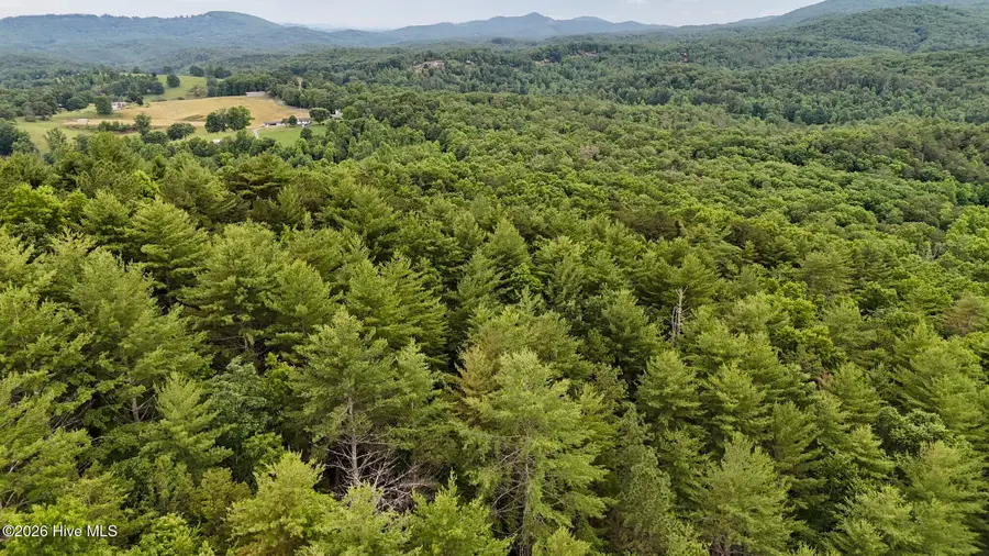 00 Choctaw Ridge Trail, Murphy, NC 28906 - #2