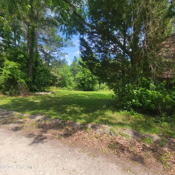 Tract 3 Old Blakes Bridge Road, Burgaw, NC 28425
