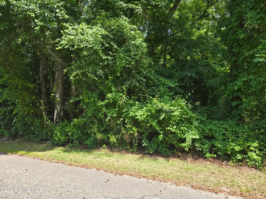 4963 Country Lane, Rocky Mount, NC 27803 - #2