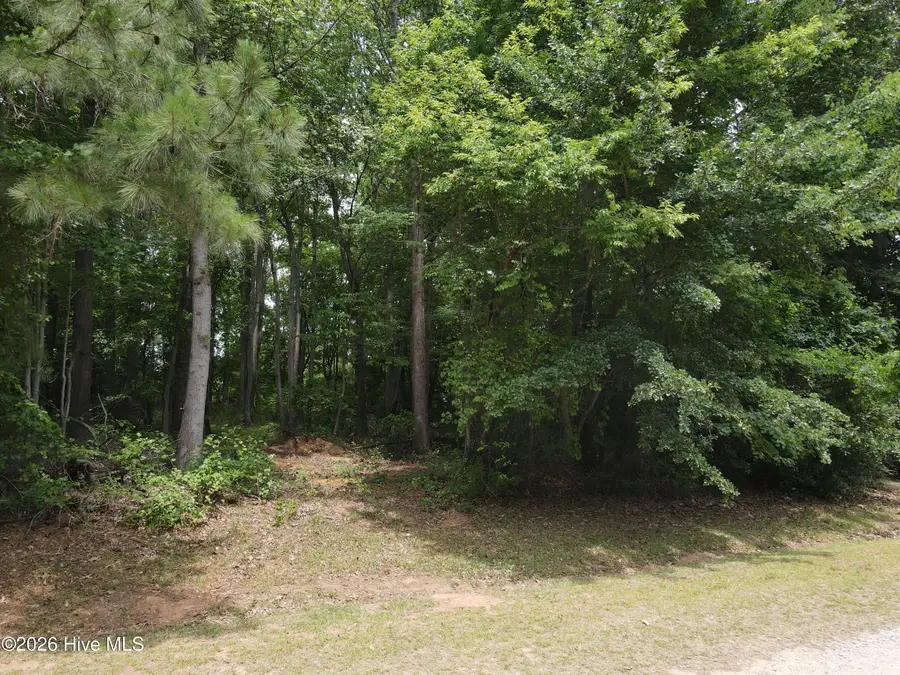 1814 J P Road, Whitakers, NC 27891 - #3