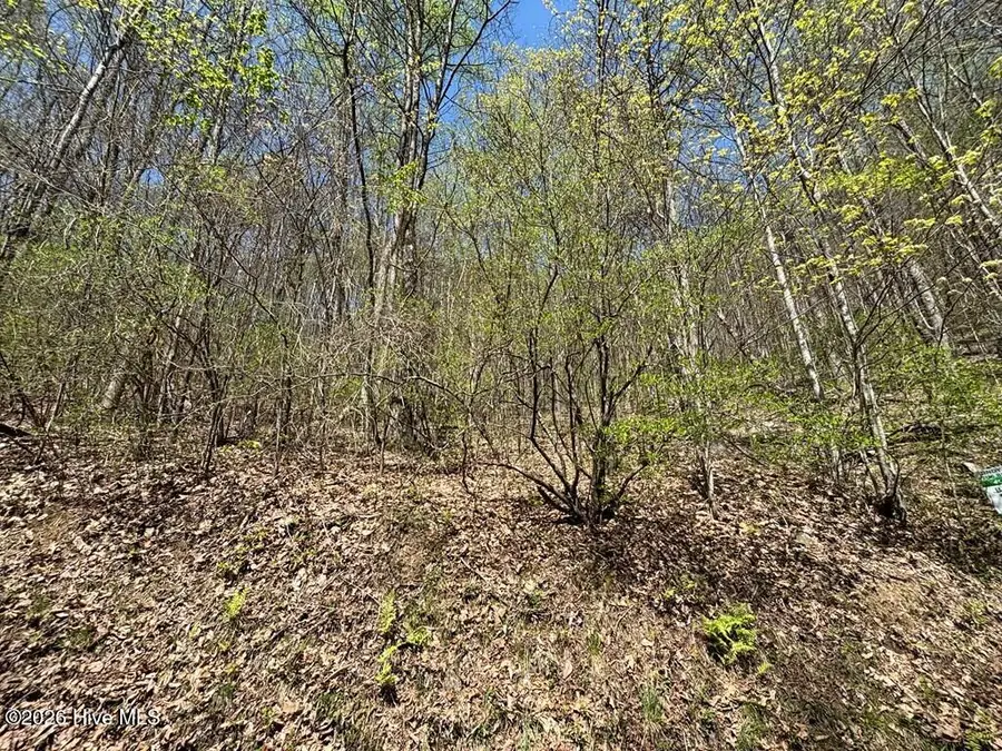 Lot 4 Outlook Road, Murphy, NC 28906 - #3