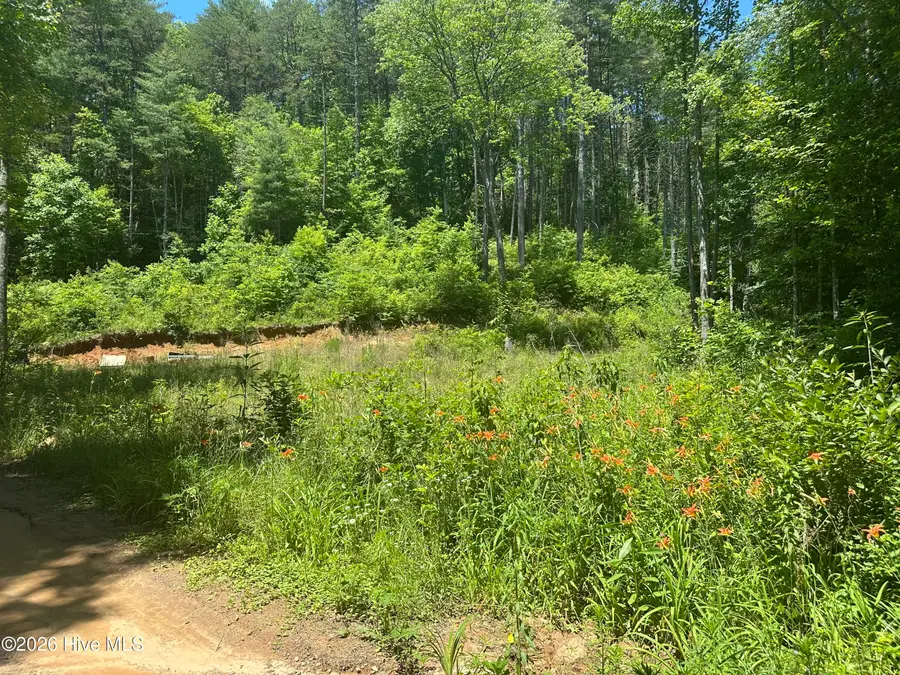 Lt 41 & 42 Smokey Hollow Drive, Murphy, NC 28906 - #2